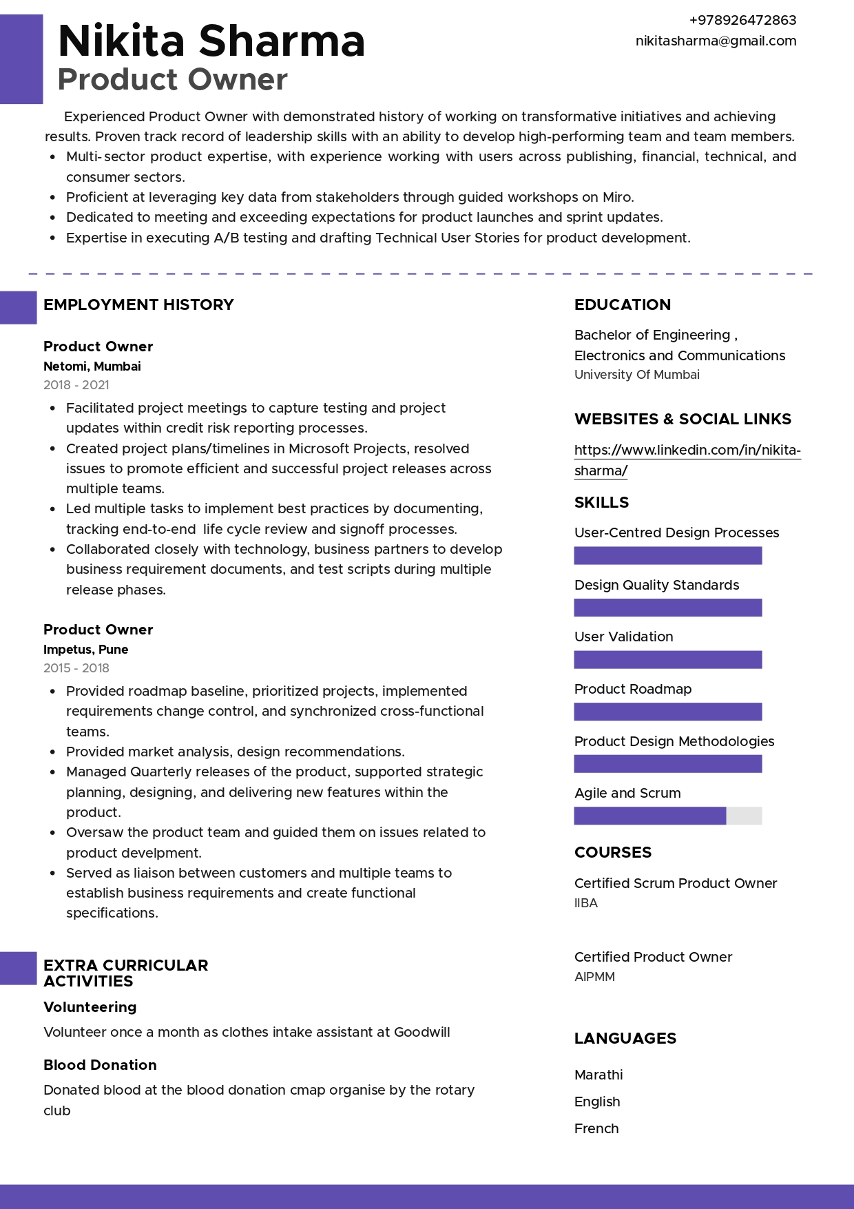 Resume of Product Owner