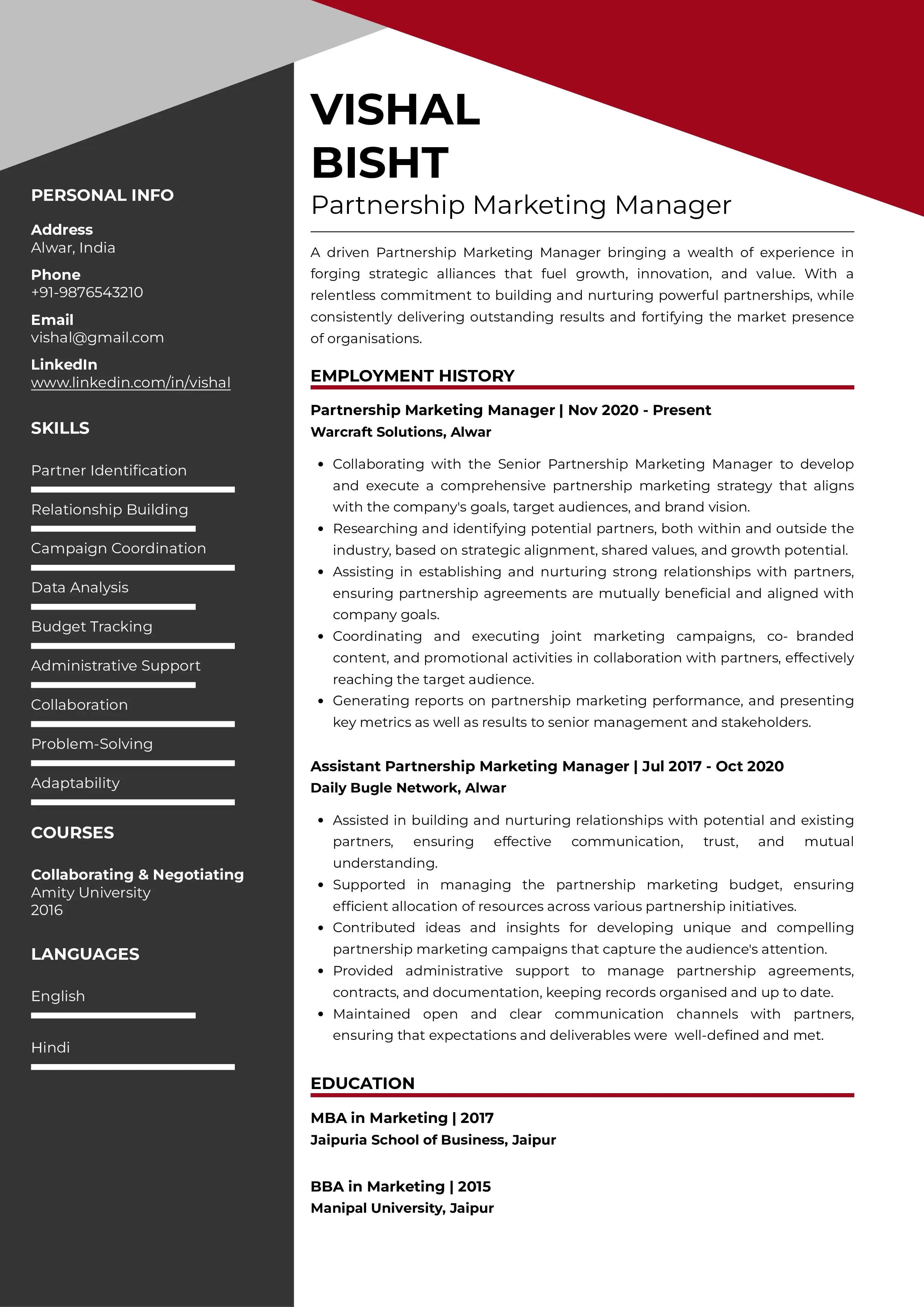 Sample Resume of Partnership Marketing Manager | Free Resume Templates & Samples on Resumod.co
