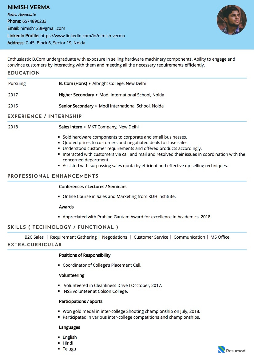 Resume of Sales Executive
