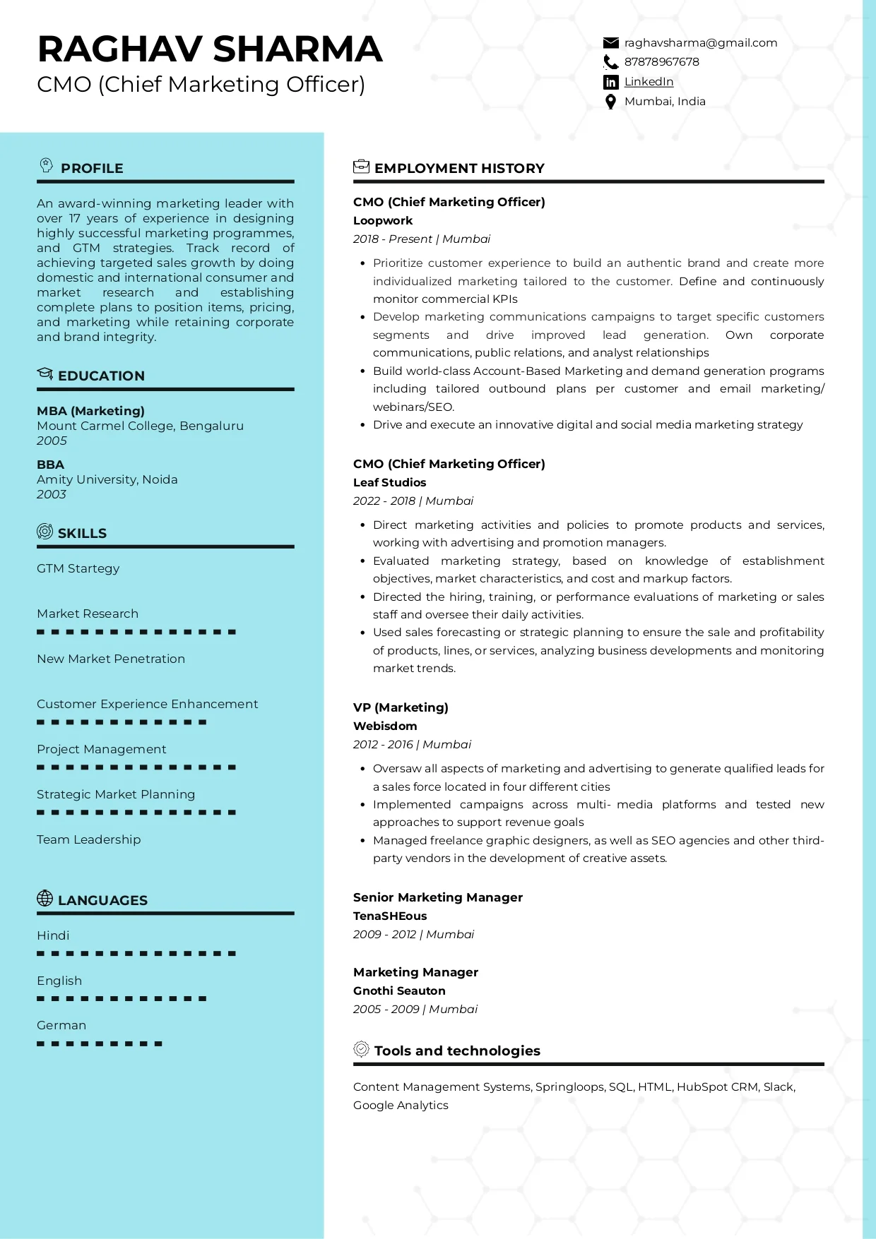 Sample Resume of Chief Marketing Officer (CMO) | Free Resume Templates & Samples on Resumod.co
