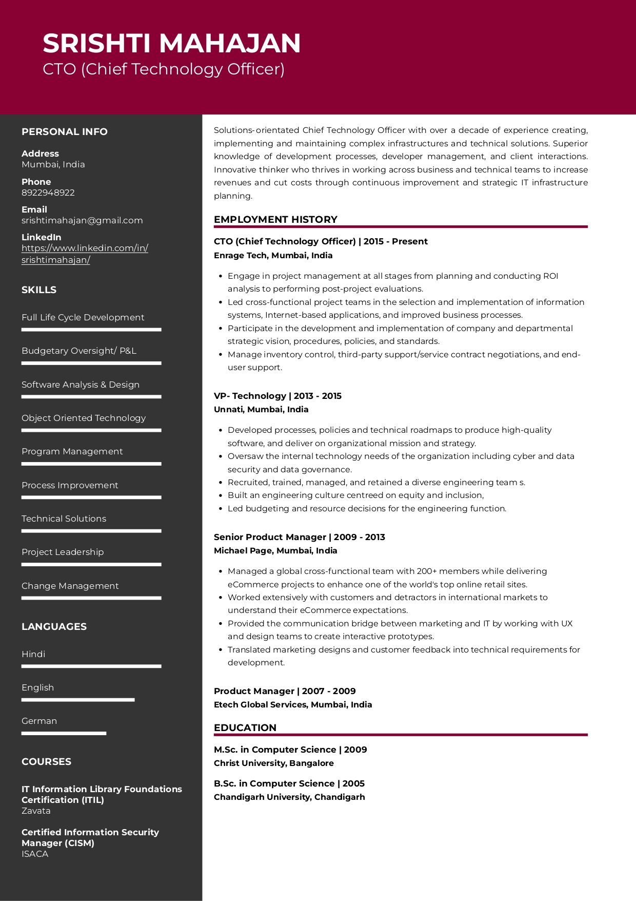 Resume of Chief Technology Officer (CTO)