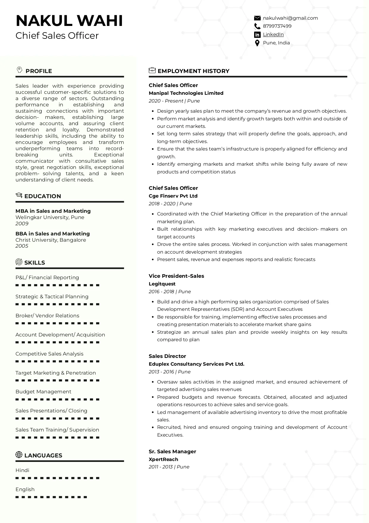 Sample Resume of Chief Sales Officer | Free Resume Templates & Samples on Resumod.co