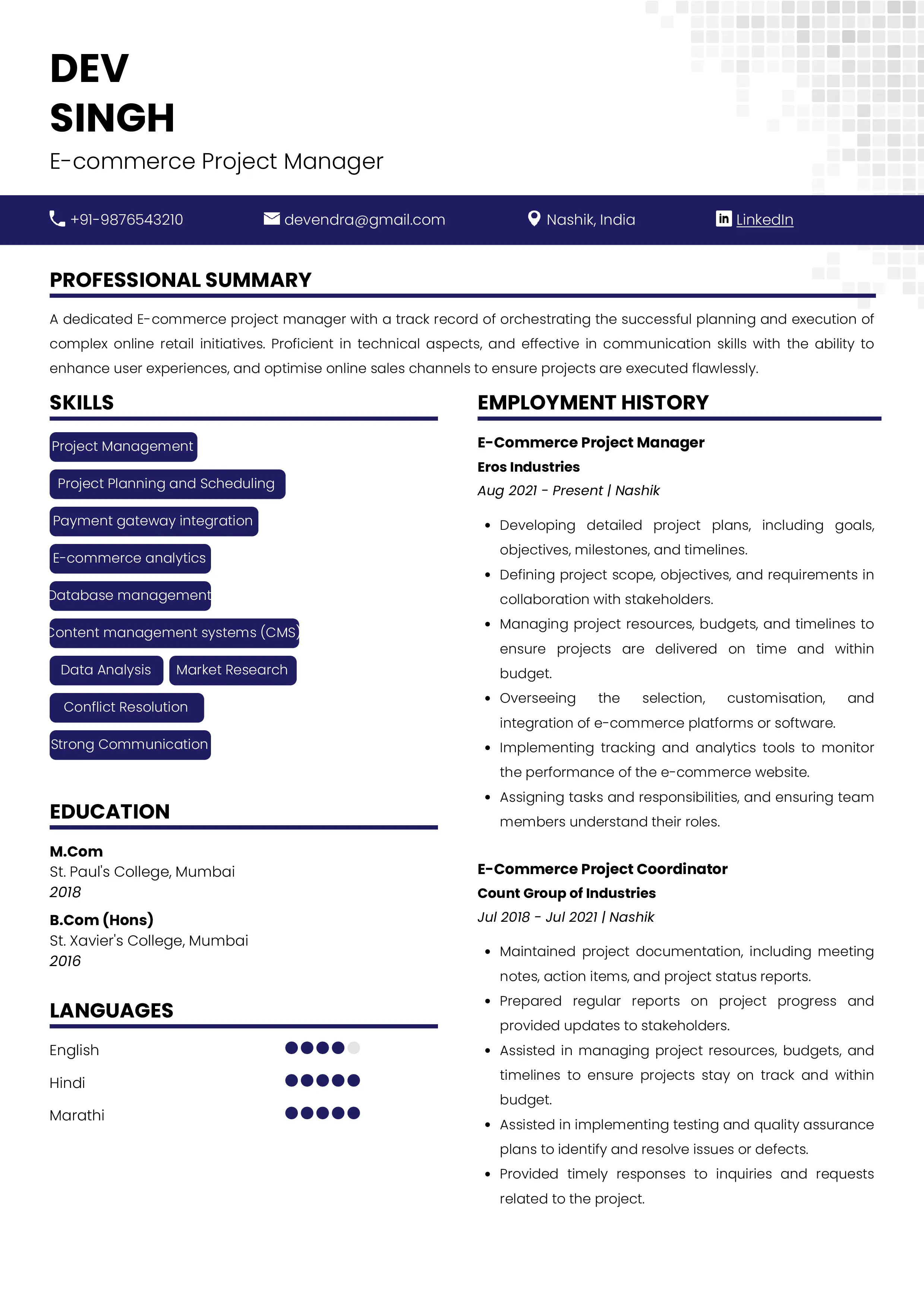 Sample Resume of  E-Commerce Project Manager | Free Resume Templates & Samples on Resumod.co