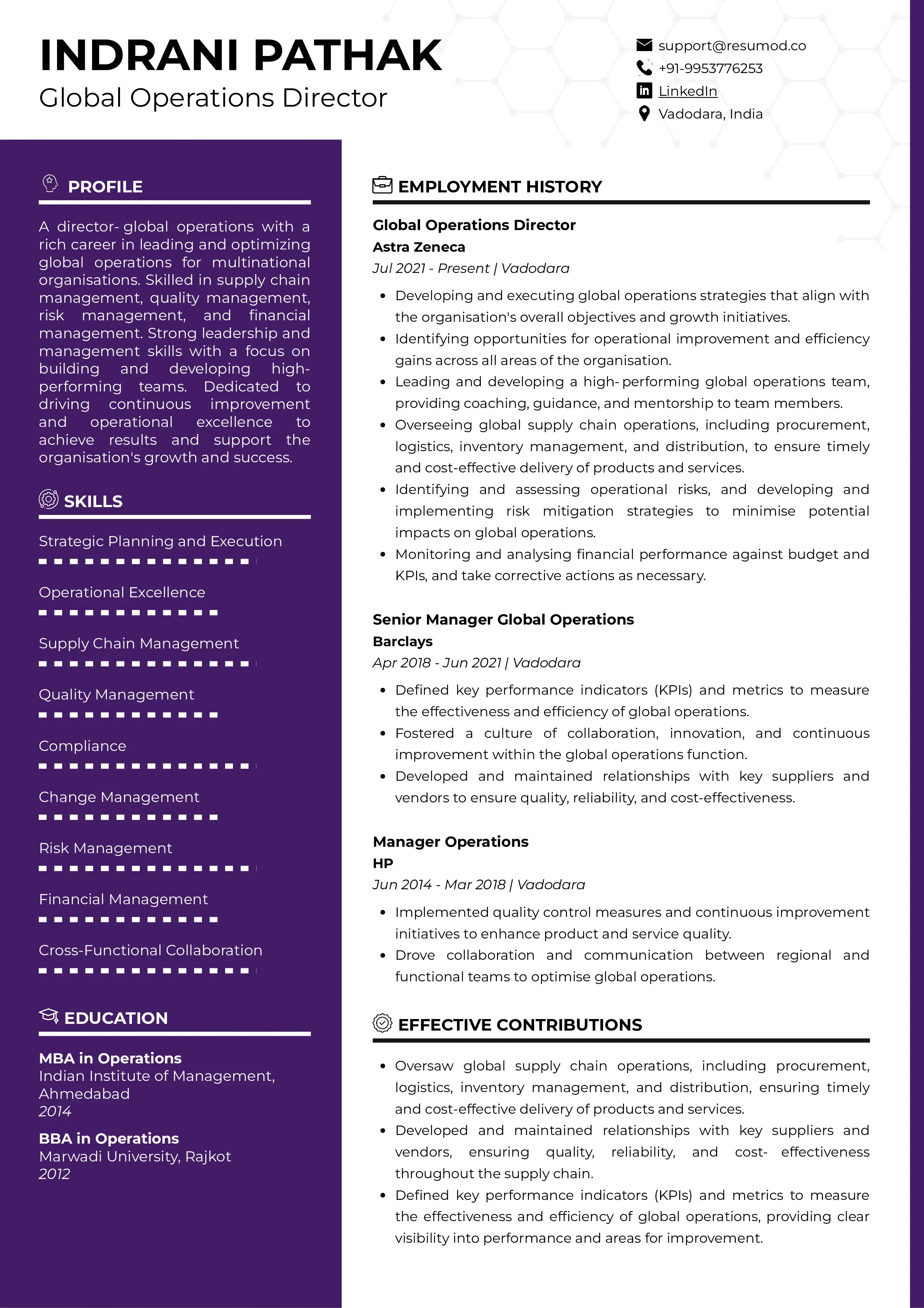 Sample Resume of Global Operations Director | Free Resume Templates & Samples on Resumod.co