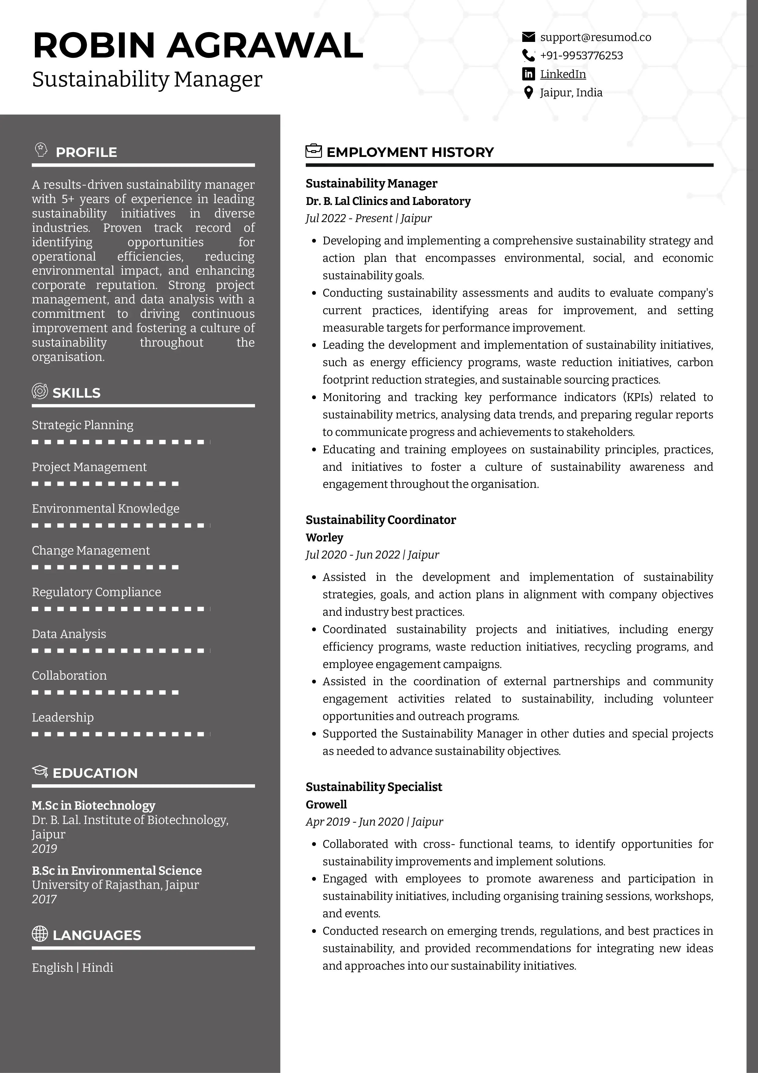 Sample Resume of Sustainability Manager | Free Resume Templates & Samples on Resumod.co